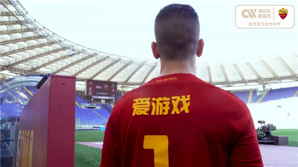 许多专家认